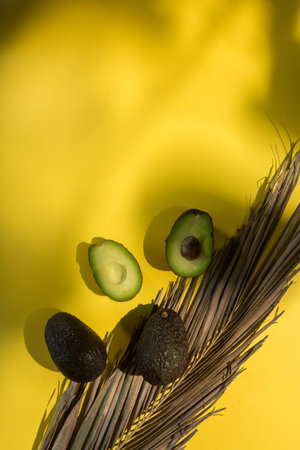 Avocados cut on a background of color and reflected shadows of palm leafの写真素材