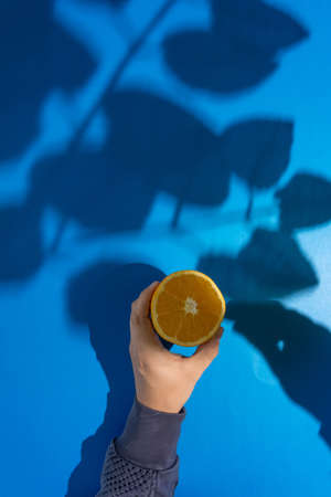 Oranges on a blue background with shadows of leavesの写真素材