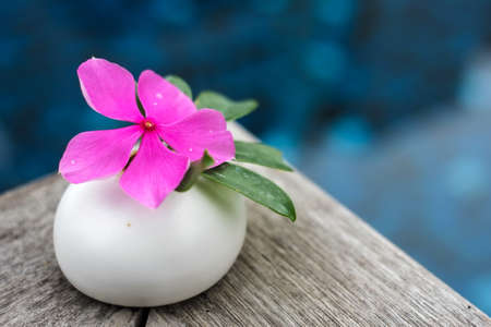 Beautiful pink flower on stone spa conceptの写真素材