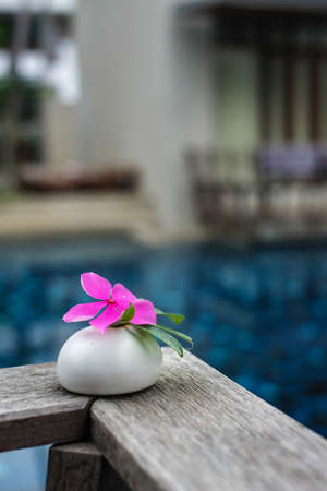 Beautiful pink flower on stone spa conceptの写真素材