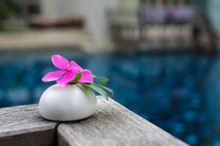 Beautiful pink flower on stone spa conceptの写真素材