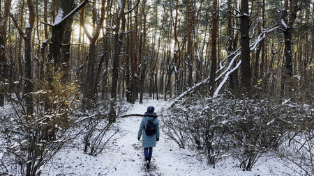 Young woman walking along path in sunny snowy forest. Girl with backpack going among trail at beautiful winter woodland. Unrecognizable lady enjoying stroll outdoor admiring beautiful scenicの写真素材
