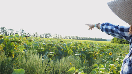 Farmer examining ripe sunflowers at field on sunny day. Female agronomist exploring plants at meadow. Beautiful scenic landscape. Concept of agriculture and agronomy business. Close up Slow motionの写真素材