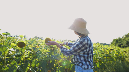 Farmer examining ripe sunflowers at field on sunny day. Female agronomist exploring plants at meadow. Beautiful scenic landscape. Concept of agriculture and agronomy business. Close up Slow motionの写真素材