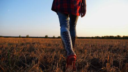 Female feet of young farmer going through the barley plantation at sunset. Legs of agronomist in boots walking among wheat meadow at dusk. Concept of agricultural business. Slow moの写真素材