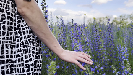 Female hand tenderly touching purple flowers at field. Woman moving her arm above blooming plants. Young girl strolling through floral meadow. Beautiful nature background. Close upの写真素材