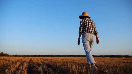 Adult agronomist in straw hat walking among barley plantation at dusk. Female farmer going through wheat meadow at sunset. Beautiful scenic landscape. Concept of agricultural business. Slow motionの写真素材