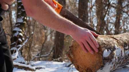 Male arm sawing a log in sunny winter forest. Strong guy working with a saw in snowy woodland....