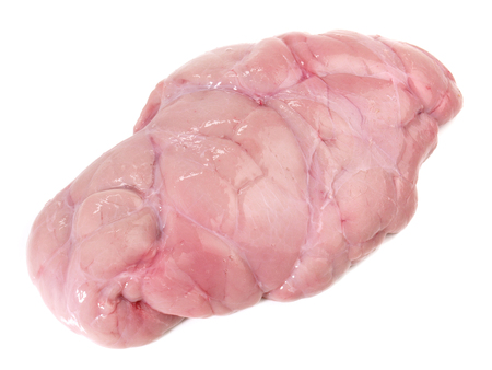Raw Veal Sweetbreadの写真素材