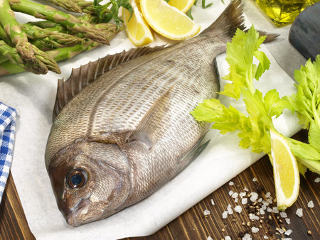 Fish - Gilthead Seabream