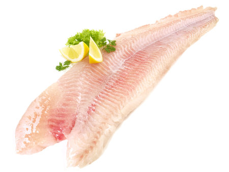 Catfish Fish Fillet on white Background
