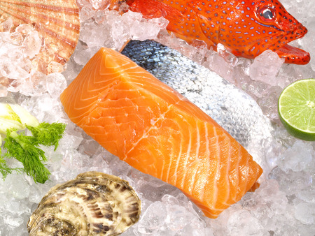 Salmon - Seafood and Fish rawの写真素材