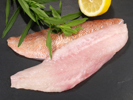 Red Perch Fillet on Whiteの写真素材