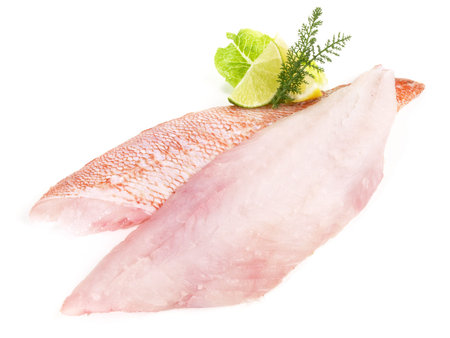Red Perch Fillet on white Background