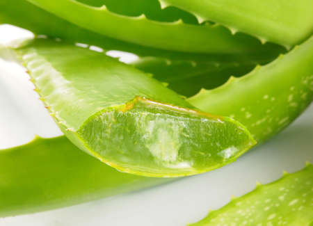 Aloe Vera - Healthy Nutrition on white backgroundの写真素材