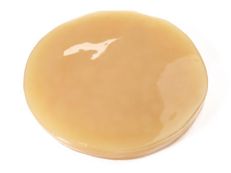 Kombucha mushroom on white background