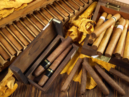 Cigars with Press and Tobacco Leaves on wooden backgroundの写真素材