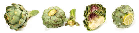 Preparing Artichokes on white background - panorama - isolatedの写真素材