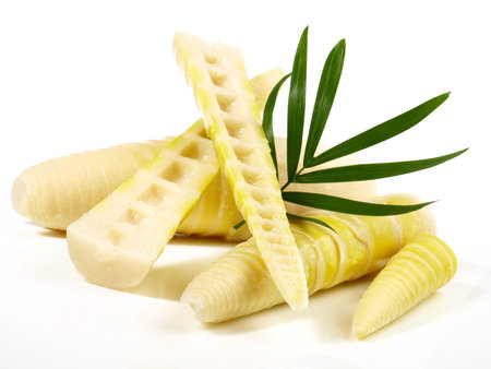 Bamboo Sprouts on white Background - Isolatedの写真素材