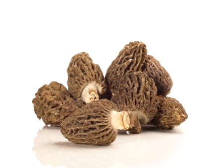 Morel Mushrooms on white background - Isolatedの写真素材