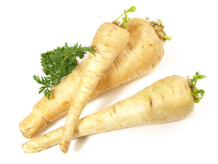 Fresh parsnips on white background - Isolatedの写真素材