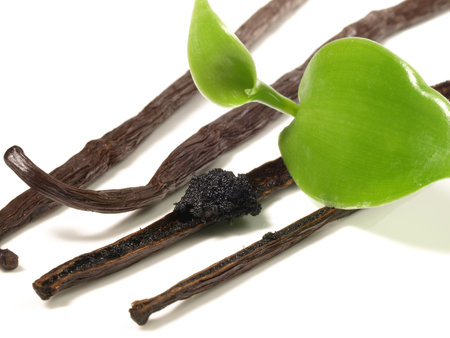 Vanilla Beans with Vanilla Pulp and Vanilla Leaves on white Background - Isolated