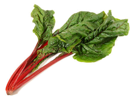Red Chard with Leaves on white Background - Isolatedの写真素材