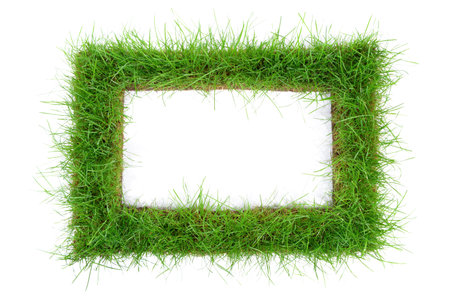 Grass frame isolated on white backgroundの写真素材