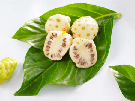 Fresh Noni Fruits with Noni Leaves on white Backgroundの写真素材