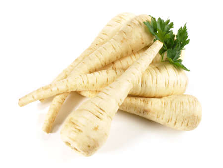 Fresh Parsnips on white Backgroundの写真素材