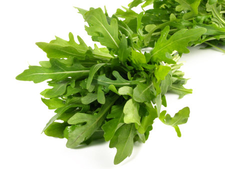 Arugula salad isolated on white backgroundの写真素材