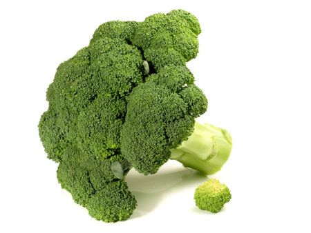 Uncooked Broccoli on white background - Isolatedの写真素材