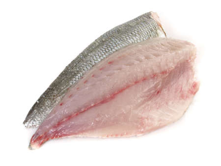 Gray Gilthead Seabream Fillet isolated on white backgroundの写真素材