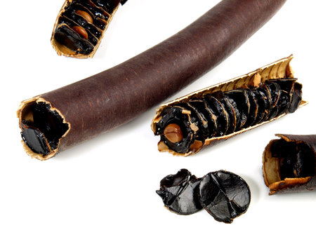 Cassia Fistula Fruit Seeds - Golden Shower Tree