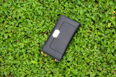 wallet on the grass