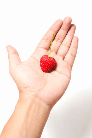 strawberry in hand on white screen background isolatedの写真素材