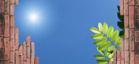 Parapet with beautiful sky and green foliage in open areaの写真素材