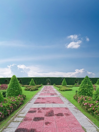 Park pathway among tree surgery in beautiful gardenの写真素材