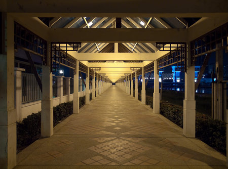 Night decorated alley through pavilion in public parkの写真素材