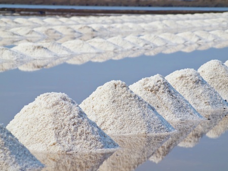 Heap of sea salt in a field prepared for harvest の写真素材