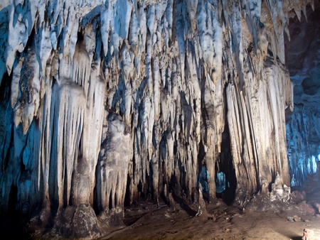 Stalactite wall in Tham Khao Bin cave, Ratchaburi, Thailandの写真素材
