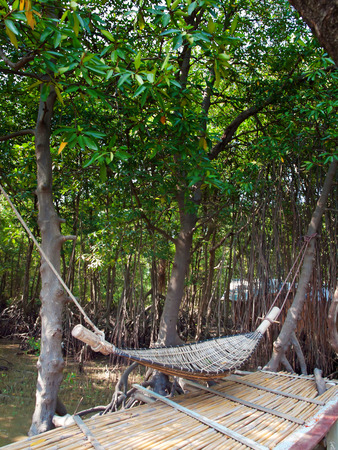 Hammock rattan hanging on tree with bamboo litter in mangrove forestの写真素材