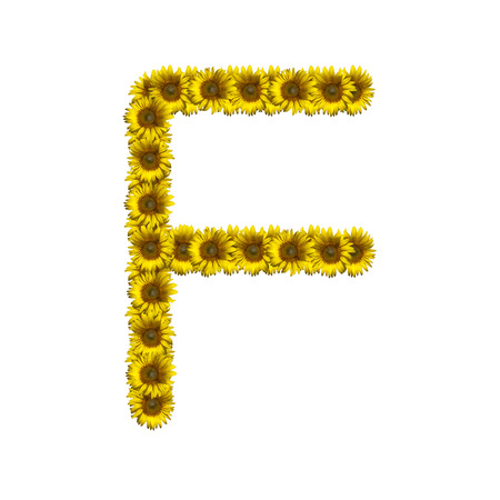Sunflower alphabet isolated on white background, letter Fの写真素材