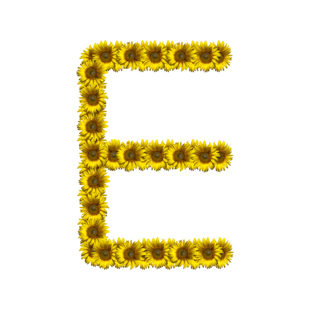 Sunflower alphabet isolated on white background, letter Eの写真素材