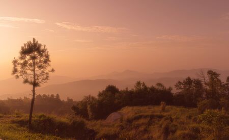 Morning sunlight with fog, nature with sunlight backgrounds.の写真素材