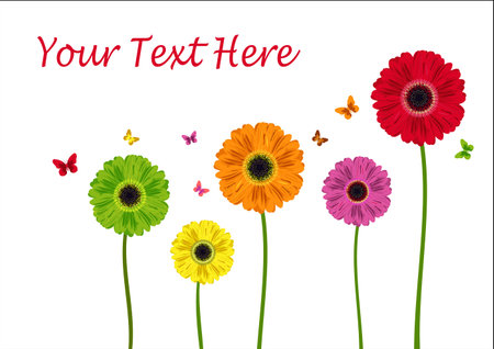 Colour flowers of gerbera isolated in white. Vector illustrationのイラスト素材