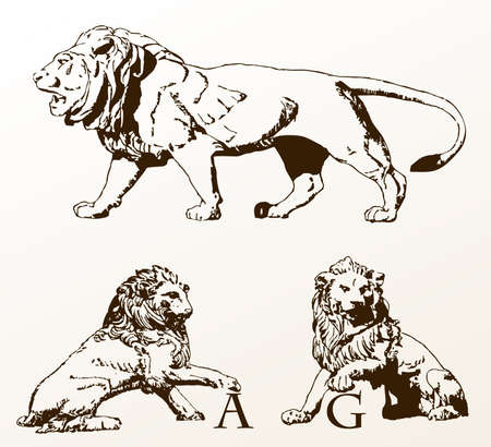heraldic animals lions old isolated white. illustrationのイラスト素材