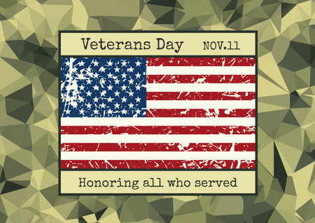 brochure poster templates in veterans day style. Camouflage design and layout