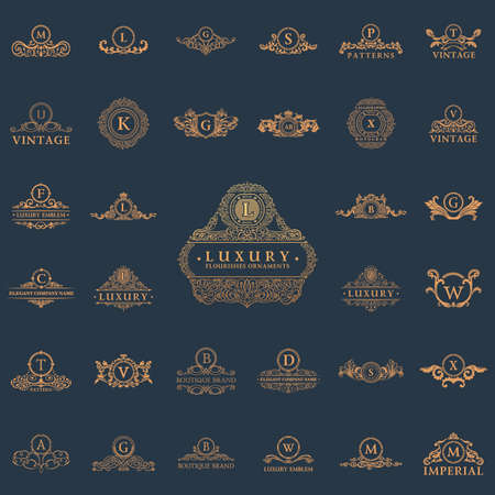 Luxury vintage set. Calligraphic emblems and elements elegant decor. Vector ornament for letterのイラスト素材