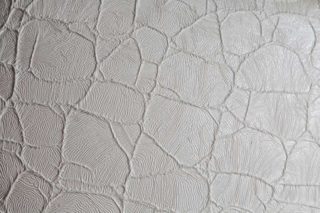 textured pattern on a white clay potの写真素材